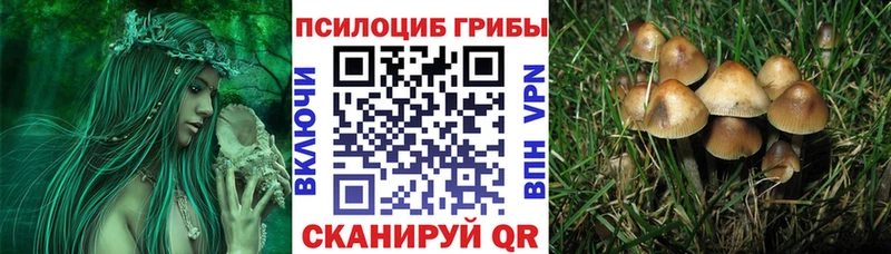 Купить где  Белинский  Галлюциногенные грибы GOLDEN TEACHER 
